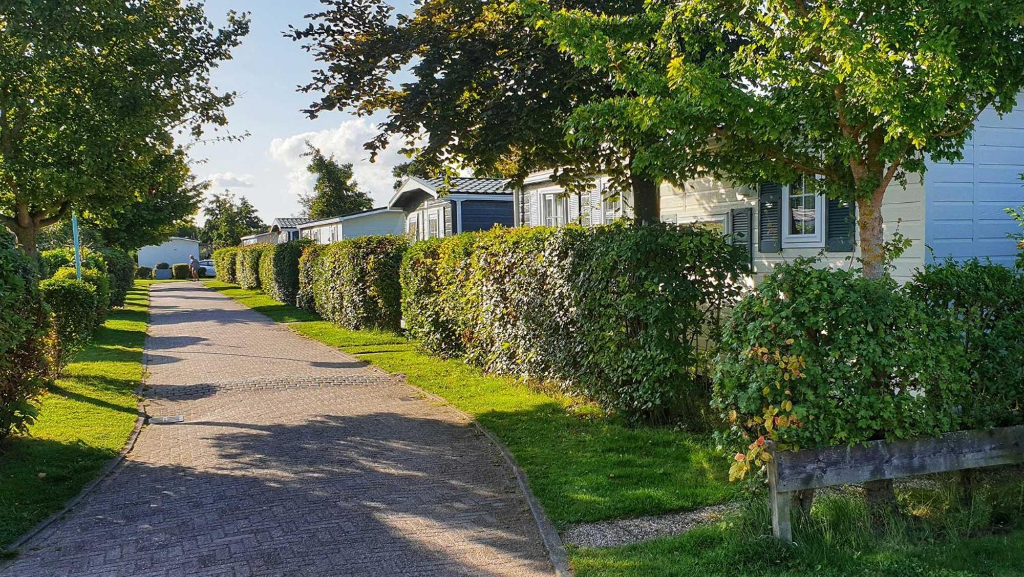 Molecaten Park Wijde Blick 3* Renesse